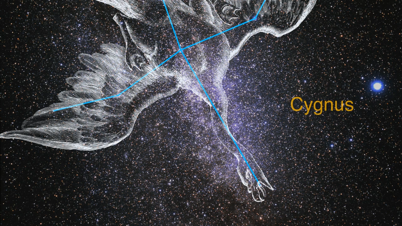 Telescope image including distant stars are overlaid with semi-transparent graphics representing the constellation Cygnus, as a swan. Thin blue lines connect the actual stars of the constellation.