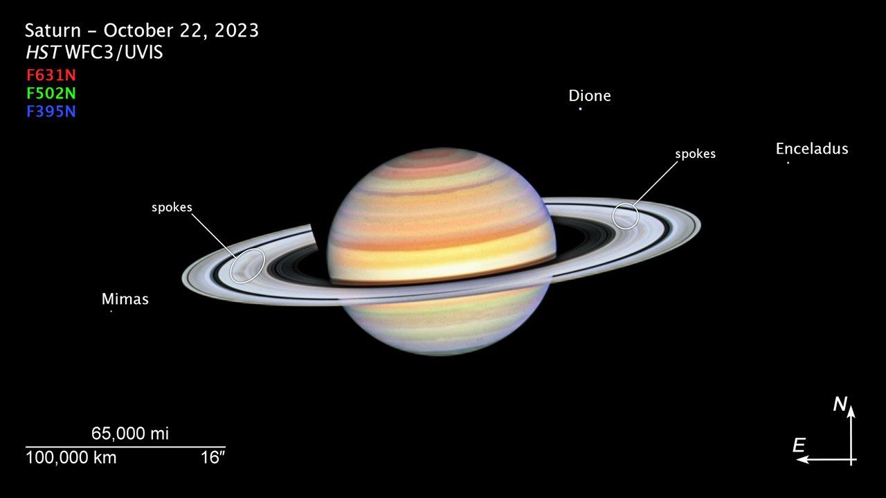 Compass image titled "Saturn - October 22, 2023: HST WFC3/UVIS" shows the planet Saturn with bright white rings, multi-colored main sphere, and moons Mimas, Dione, and Enceladus. Spoke features (labeled "spokes" indicated in the white circles on the left and right sides) appear like faint gray smudges against the ring's bright backdrop, about midway from the planet to the rings' outer edge. Above the rings plane, the planet's bands are shades of red, orange and yellow, with white nearer the equator. This image is a composite of separate exposures acquired by the Hubble Space Telescope using the WFC3/UVIS instrument. Several filters were used to sample specific wavelength ranges. The color results from assigning different colors to each monochromatic (grayscale) image associated with an individual filter. The assigned colors listed in the upper right corner of the image are: red: F631N; green: F502N; blue: F395N. Compass graphic points to the object's orientation on the celestial sphere. Background is black.