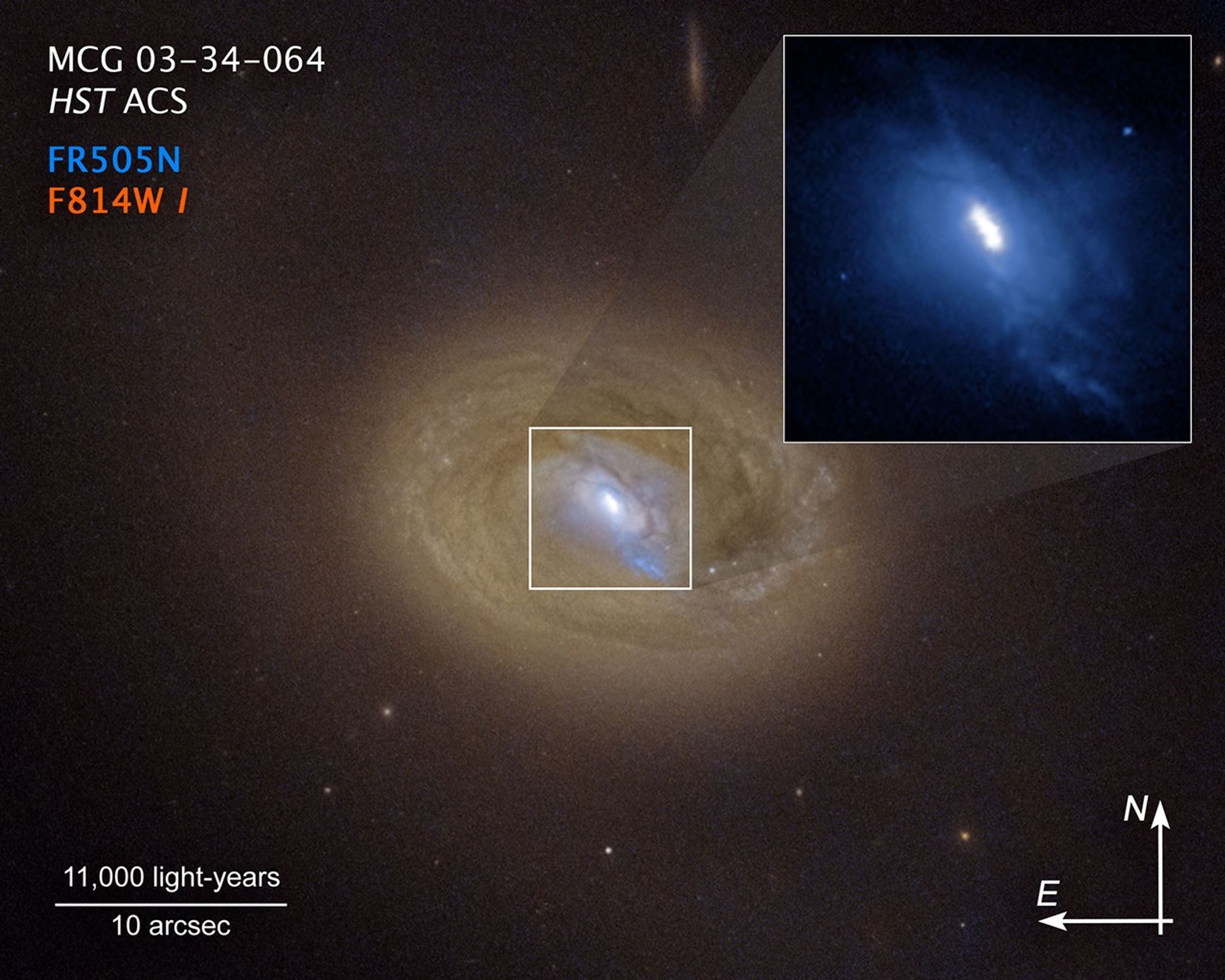 Image titled "MCG-03-34-064, HST ACS" with color key, scale bar, and compass arrows. A Hubble Space Telescope visible-light image of the galaxy MCG-03-34-064 appears as an orange spiral. It has a blue center (expanded in an inset image at upper right) with three bright spots embedded in a white ellipse at the galaxy's center. Two of these bright spots are the source of strong X-ray emission, a telltale sign that they are supermassive black holes converting matter to energy. Below the image title (at upper left) is a color key showing ACS filters "FR505N" in blue and "F814W I" in red. At bottom left, the scale bar is labeled "11,000 light-years over 10 arcsec." At bottom right are compass arrows indicating the orientation of the image on the sky. The north arrow points in the 12 o'clock position. The east arrow points in the 9 o'clock position.