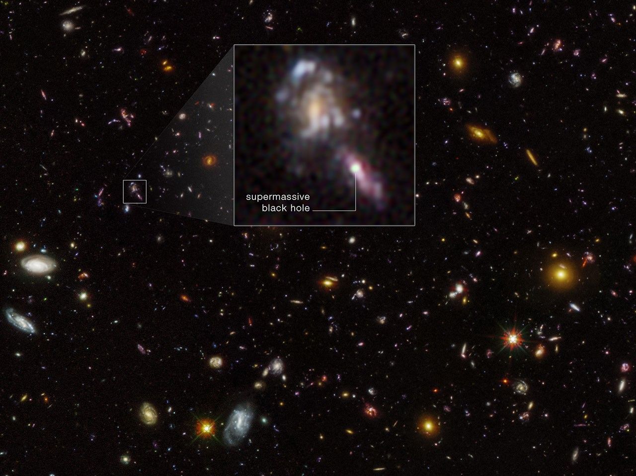 A black background of space, sprinkled with thousands of galaxies of all shapes and sizes. In the middle of the picture is an inset box showing a closeup of a pair of galaxies from the background. The larger galaxy is spiral-shaped. The other is spindle-shaped because the galaxy is seen edge-on. The smaller galaxy has a line that points to the words "supermassive black hole" that connects to a bright white spot in the middle of it.