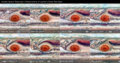 Close-up of Jupiter’s Great Red Spot (8-Panel)