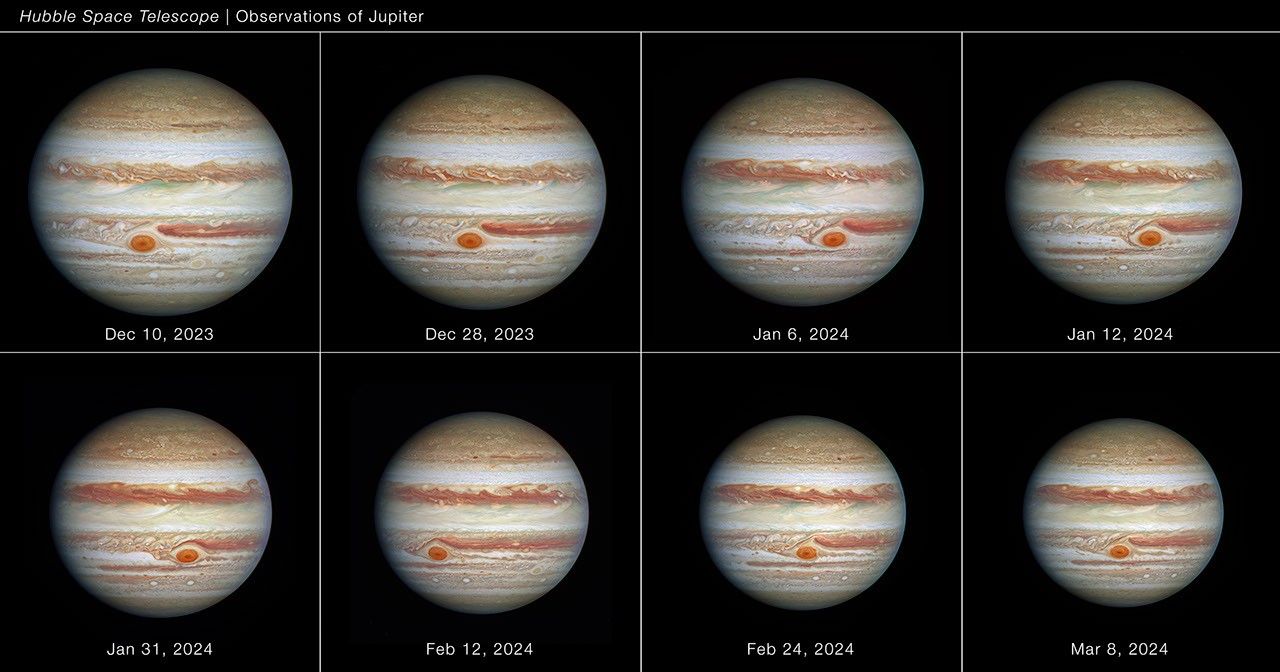 Eight images of the giant planet Jupiter spanning approximately 90 days between December 2023 and March 2024. The planet appears striped, with brown and white horizontal bands of clouds. These stripes are called belts (sinking air) and bands (rising air). The polar regions appear more mottled. Astronomers measured the Great Red Spot (GRS) – a cherry red anticyclonic storm that appears at different longitudes in the southern hemisphere between exposures (because of Jupiter's rotation). Hubble was used to measure the size, shape, brightness, and twisting of the GRS. The observation is part of the observing programs led by Amy Simon of NASA's Goddard Space Flight Center.