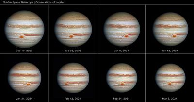 Full Disk of Jupiter (8-Panel)