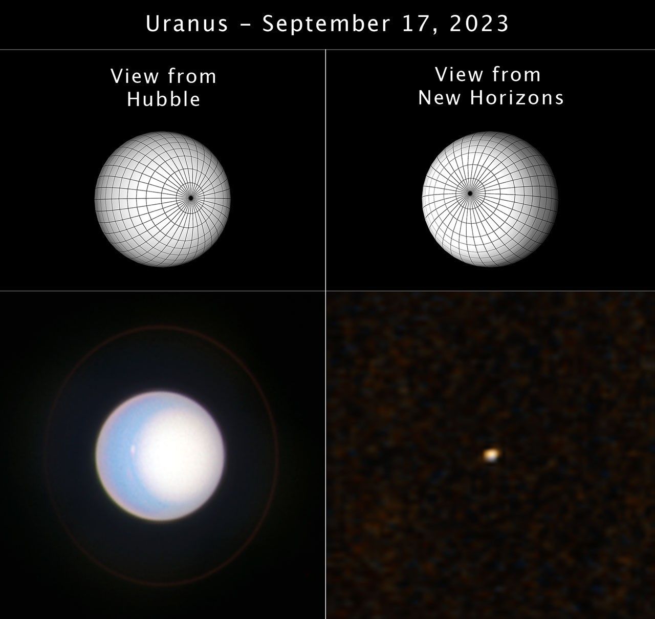 A four-panel image. The top two panels are diagrams of Uranus – spheres with gridlines going longitudinally and latitudinally. On the top left, the view from Hubble, the southern pole of the planet faces 3 o'clock. On the top right, the view from New Horizons, the southern pole faces 10 o'clock. The bottom left panel is Hubble's actual view of Uranus – the planet is a light blue sphere, with a white circle covering the right half of the planet (the southern pole). The bottom right panel is the actual view of Uranus from New Horizons. The planet appears as a tiny whiteish dot.