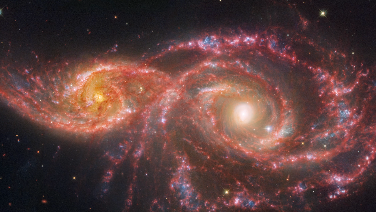 Two spiral galaxies take the shape of a colorful beaded mask that sits above the nose. The galaxy at left, IC 2163, is smaller, taking up a little over a quarter of the view. The galaxy at right, NGC 2207, takes up half the view, with its spiral arms reaching the edges. IC 2163 has a bright orange core, with two prominent spiral arms that rotate counter clockwise and become straighter towards the ends, the left side extending almost to the edge. Its arms are a mix of pink, white, and blue, with an area that takes the shape of an eyelid appearing whitest. NGC 2207 has a very bright core. Overall, it appears to have larger, thicker spiral arms that spin counter clockwise. This galaxy also contains more and larger blue areas of star formation that poke out like holes from the pink spiral arms. In the middle, the galaxies’ arms appear to overlap. The edges show the black background of space, including extremely distant galaxies that look like orange and red smudges, and a few foreground stars.