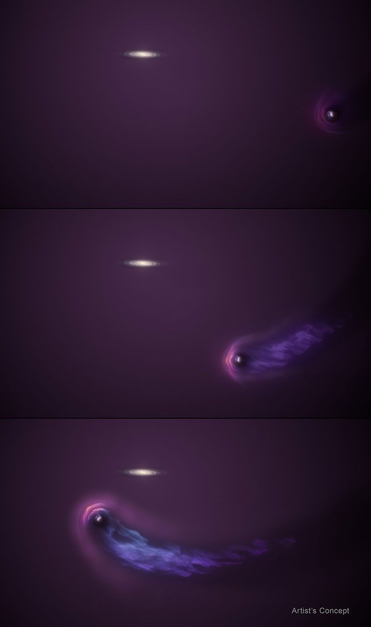 A 3-panel graphic labeled “artist’s concept” at bottom, right corner. Each of the three panels shows the same whitish, whirlpool-like spiral galaxy at middle of top edge. A faint, purple haze surrounds galaxy and stretches to panel’s edges.  At the middle of the right side of the first panel, a white dot surrounded by fuzzy, lighter purple halo approaches. In middle panel, a pronounced, light purple bow shock develops to left part of the halo. The right part of halo is being stripped and blown back into a streaming tail of gas. The bottom panel shows the tail becoming longer and more defined as the now tadpole-like object curves below the spiral galaxy and sweeps toward the upper left.