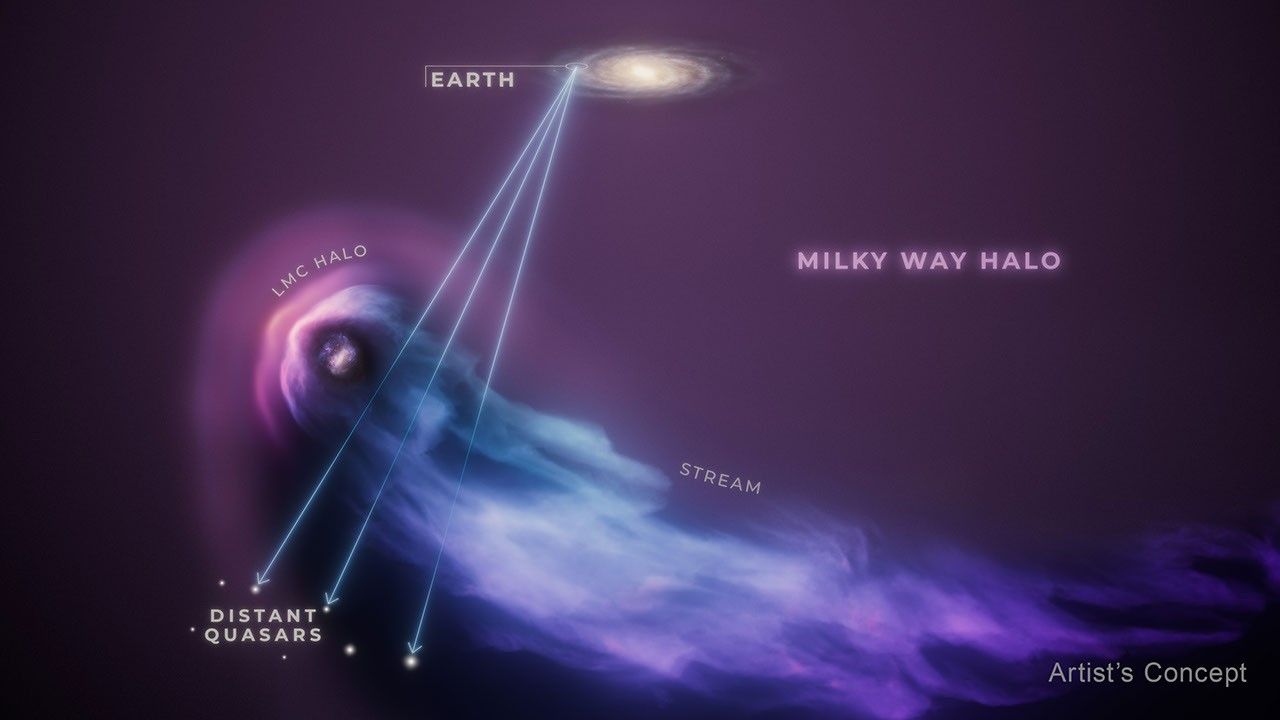 A whitish, whirlpool-like galaxy at middle of top edge, and a tadpole-shaped structure sweeps from left to right across lower half. A label pointing to outer, left of galaxy reads “Earth.” Faint, purple haze labeled “Milky Way Halo” surrounds galaxy and stretches to graphic’s edges. The tadpole-shaped object is the Large Magellanic Cloud, or LMC, with its own halo and streaming tail. Semi-circular, progressively darker layers of purple labeled “LMC Halo” surround the LMC, which appears roughly circular, with a central, light yellow bar. Cloud-like features sprinkled with white specks surround this bar. Trailing the LMC is a large, tail-like feature labeled “Stream.” At the bottom left corner of graphic are several small, bright points of light labeled “Quasars.” Three light blue lines point from the label “Earth” through the LMC’s halo, and to three corresponding quasars. At the bottom, right corner is the label “Artist’s Concept.”