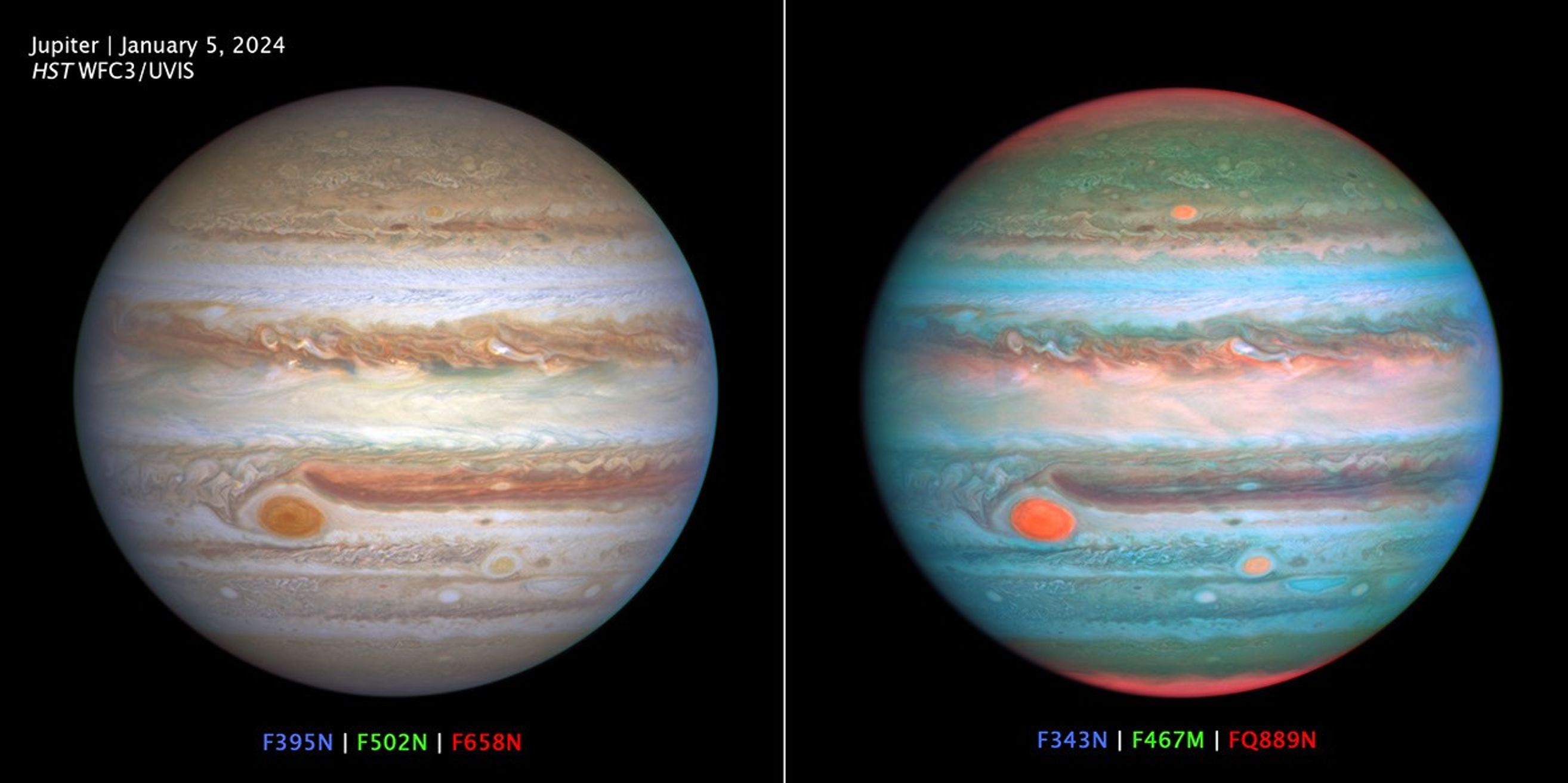 A two-panel image labeled "Jupiter, January 5, 2024, HST WFC3/UVIS" showcases the wealth of information provided by the spectral filters on the Hubble's Wide Field Camera 3 (WFC3) science instrument. At left, the Hubble image of Jupiter is created using three filters at wavelengths similar to the colors seen by the human eye: F395N is blue, F502N is green, F658N is red. At right, the wavelength bounds are widened beyond the visible range to extend just into the ultraviolet (UV) and infrared regimes: F343N is blue, F467M is green, FQ889N is red. Humans can't perceive these extended wavelengths. The result is a vivid disk that shows UV-absorbing lofty hazes as orange (over the poles and in three large storms, including the Great Red Spot), and freshly-formed ice as white (compact storm plumes just north of the equator). These filters (and others not shown here) allow astronomers to study differences in cloud thickness, altitude, and chemical makeup.