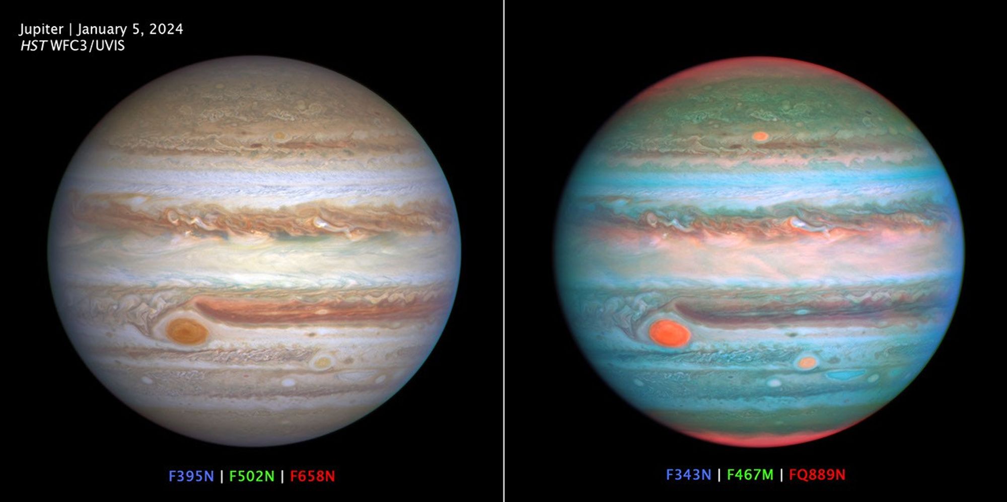 A two-panel image labeled "Jupiter, January 5, 2024, HST WFC3/UVIS" showcases the wealth of information provided by the spectral filters on the Hubble's Wide Field Camera 3 (WFC3) science instrument. At left, the Hubble image of Jupiter is created using three filters at wavelengths similar to the colors seen by the human eye: F395N is blue, F502N is green, F658N is red. At right, the wavelength bounds are widened beyond the visible range to extend just into the ultraviolet (UV) and infrared regimes: F343N is blue, F467M is green, FQ889N is red. Humans can't perceive these extended wavelengths. The result is a vivid disk that shows UV-absorbing lofty hazes as orange (over the poles and in three large storms, including the Great Red Spot), and freshly-formed ice as white (compact storm plumes just north of the equator). These filters (and others not shown here) allow astronomers to study differences in cloud thickness, altitude, and chemical makeup.