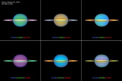 Multiwavelength OPAL Saturn
