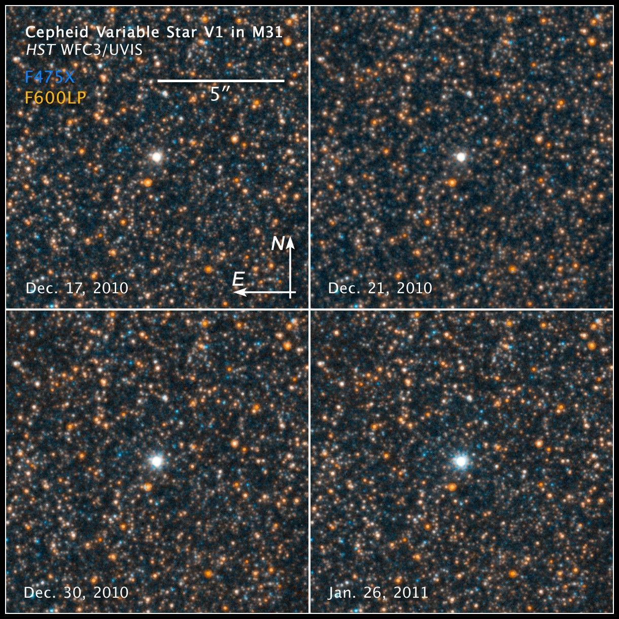 Compass and scale image titled "Cepheid Variable Star V1 in M31 HST WFC3/UVIS." Four boxes each showing a bright white star in the center surrounded by other stars. Each box has a correlating date at the bottom: Dec. 17, 2020, Dec. 21, 2010, Dec. 30, 2019, and Jan. 26, 2011. The center star in the boxes appears brighter with each passing date.