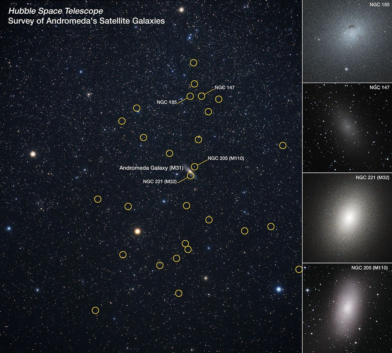 Telescope image with infographic overlays. At top left the text reads, Hubble Space Telescope, Survey of Andromeda's Satellite galaxies. A large field of galaxies take up the left three-quarters. This portion shows hundreds scattered across the black background of space. Most are tiny white dots. Thirty-six tiny galaxies are circled in yellow. Four have labels. From top to bottom, left to right: NGC 185, NGC 147, NGC 205 (M110), NGC 221 (M32). NGC 221 appears slightly lower than a larger, angled oblong galaxy, which is labeled Andromeda Galaxy (M31). Along the right is a column separated into four boxes, each a zoomed in portrait of the labeled galaxies. From top to bottom: NGC 185 looks like a dim blue haze that takes up most of the frame; NGC 147 like a small, very dim oval, with scattered dots nearby; NGC 221 is large and bright white, and takes up most of the box; NGC 205 is not quite as large as NGC 221, and is pinker, with larger dots throughout the frame.