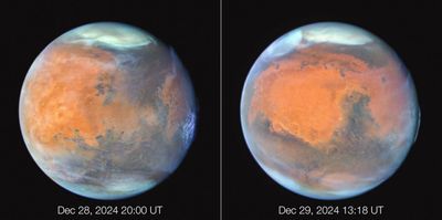 Mars Near Opposition 2024