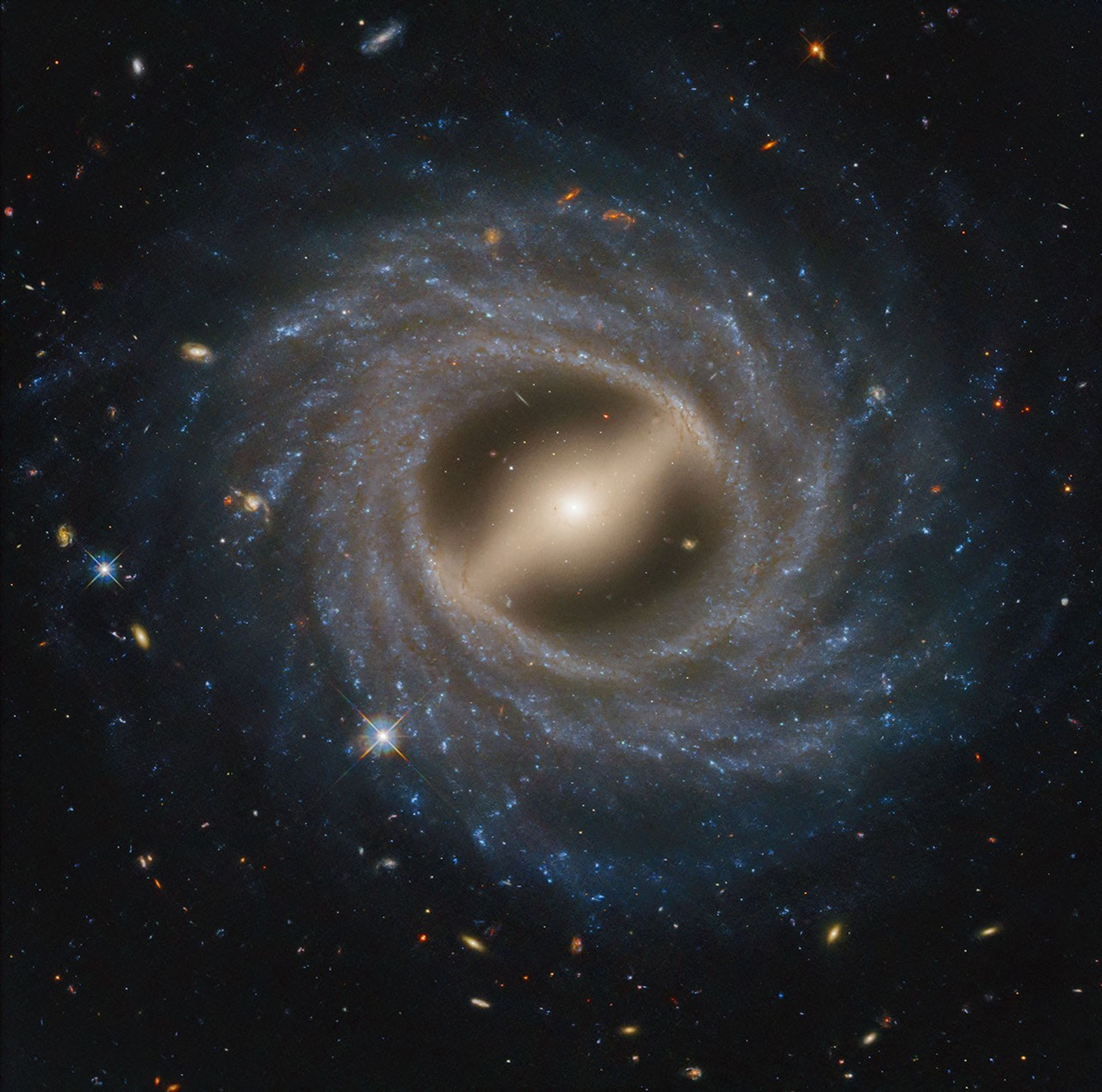 Barred spiral galaxy NGC 5335 observed by the Hubble Space Telescope takes up the majority of the view. At its center is a milky yellow, flattened oval that extends bottom left to top. Within the oval is a bright central region that looks circular, with the very center the brightest. In the bright central region is what looks like a bar, extending from top left to bottom right. Around this is a thick swath of blue stars speckled with white regions. Multiple arms wrap up and around in a counterclockwise direction, becoming fainter the farther out they are. Both the white core and the spiral arms are intertwined with dark streaks of dust. The background of space is black. Thousands of distant galaxies in an array of colors are speckled throughout.