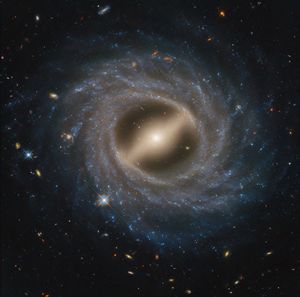 Barred spiral galaxy NGC 5335 observed by the Hubble Space Telescope takes up the majority of the view. At its center is a milky yellow, flattened oval that extends bottom left to top. Within the oval is a bright central region that looks circular, with the very center the brightest. In the bright central region is what looks like a bar, extending from top left to bottom right. Around this is a thick swath of blue stars speckled with white regions. Multiple arms wrap up and around in a counterclockwise direction, becoming fainter the farther out they are. Both the white core and the spiral arms are intertwined with dark streaks of dust. The background of space is black. Thousands of distant galaxies in an array of colors are speckled throughout.