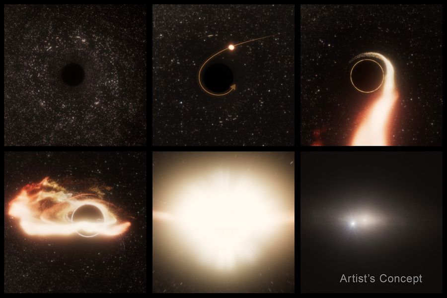 Six-panel illustration of what happens when a star is torn apart by a black hole