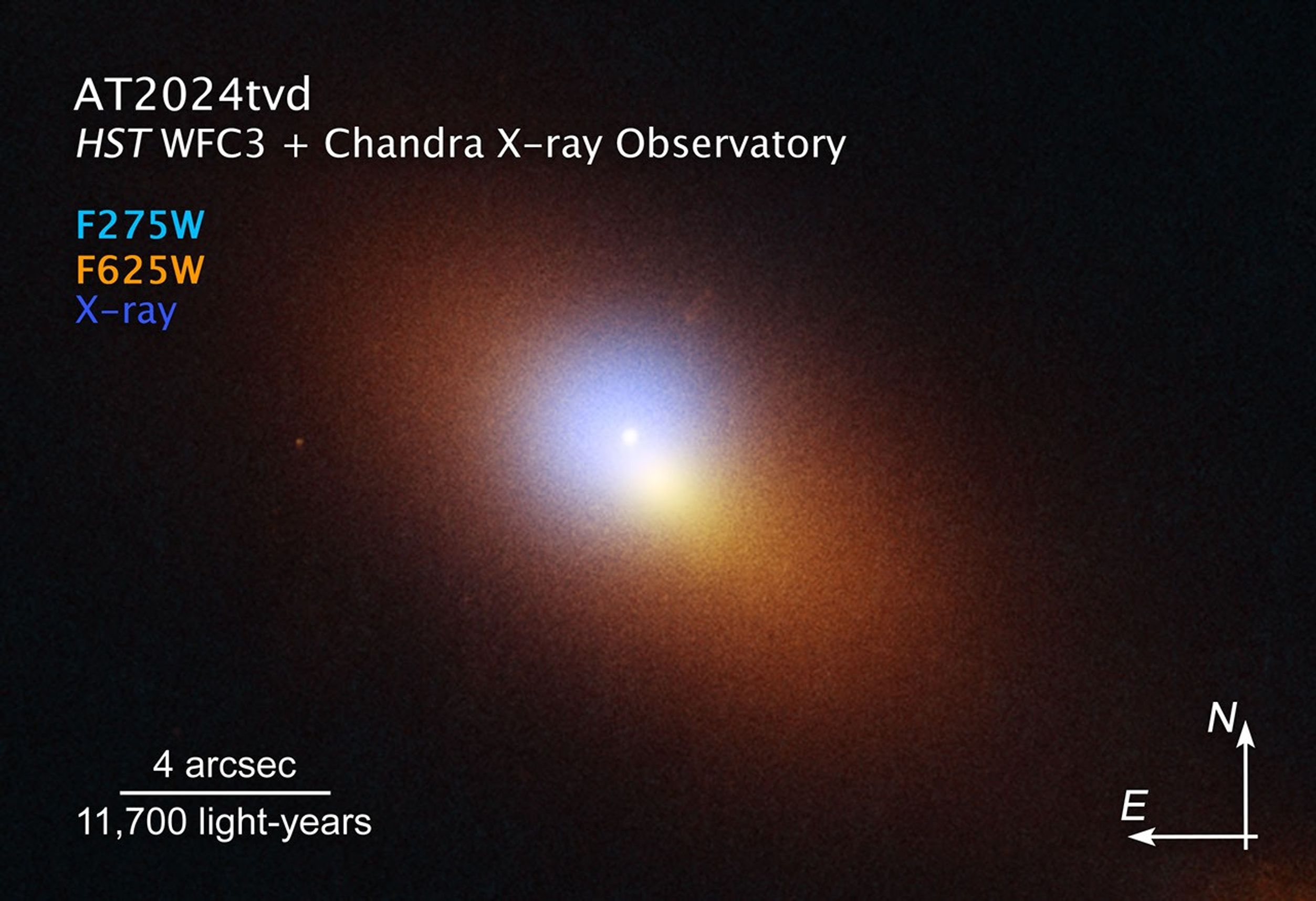 Image titled u201cAT2024tvd, HST WFC3 + Chandra X-ray Observatoryu201d at top left with compass arrows and color key at the bottom. Below the name, filters are listed: F275W in green, F625W in orange, and X-Ray in blue. These colors indicate the visible-light color is assigned to each filter. The TDE event takes up a majority of the view. The TDE appears as an isolated blue-white point source of ultraviolet light, while the galaxy is colored orange in visible light. In addition, X-Ray light is captured by Chandra as a purple haze surround the TDE.u00a0The length of the scale bar at bottom left is about a fifth of the total width. It is labeled 11,700 light-years and 4 arcseconds. At the bottom right are compass arrows indicating the orientation of the image on the sky. The east arrow points toward 9 ou2019clock. The north arrow points toward 12 ou2019clock.