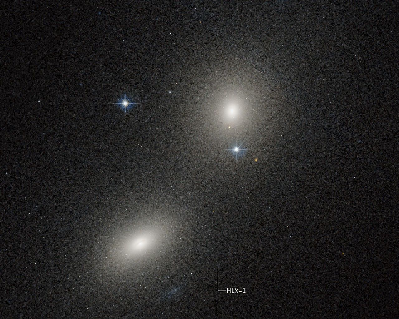 Two elliptical galaxies at upper right and lower left appear as fuzzy white ovals. Two bright stars with prominent diffraction spikes also appear near center of the image. At bottom center is a tiny white dot labeled HLX-1. The background of space is black, and is speckled with tiny white dots.