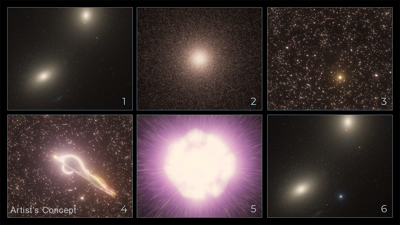 Sequenza di illustrazioni che, dall'alto a sinistra in basso a destra, mostra come un buco nero nel nucleo di un ammasso stellare catturi una stella di passaggio e la distrugge gravitazionalmente fino a quando non c'è un'esplosione, vista alla periferia della galassia ospite. Credits: NASA, ESA, Ralf Crawford (STScI)