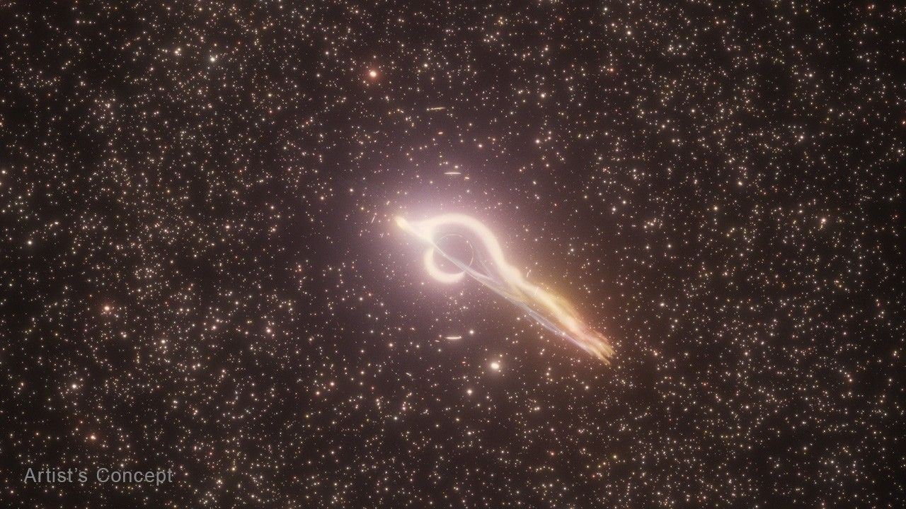 Artistu2019s concept of the disk of a black hole pulling in a white star like taffy. Against a black field speckled with white and gold stars and galaxies, an intermediate mass black hole tears a star into long, white shreds as it begins to feast on the star.