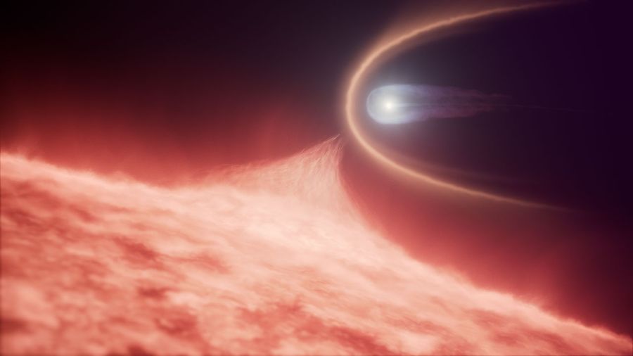 An illustration of a white dwarf star merging with a red giant star. The red giant is an arch across the bottom of the illustration, with a textured surface. The white dwarf is a white pinpoint object at upper center right. The white dwarf in embedded inside a teardrop-shaped cocoon of white gas. It is enveloped in a white open ellipsoid that is the bow shock from speeding through the red giant’s outer atmosphere. The words “artist’s concept” are at lower left.