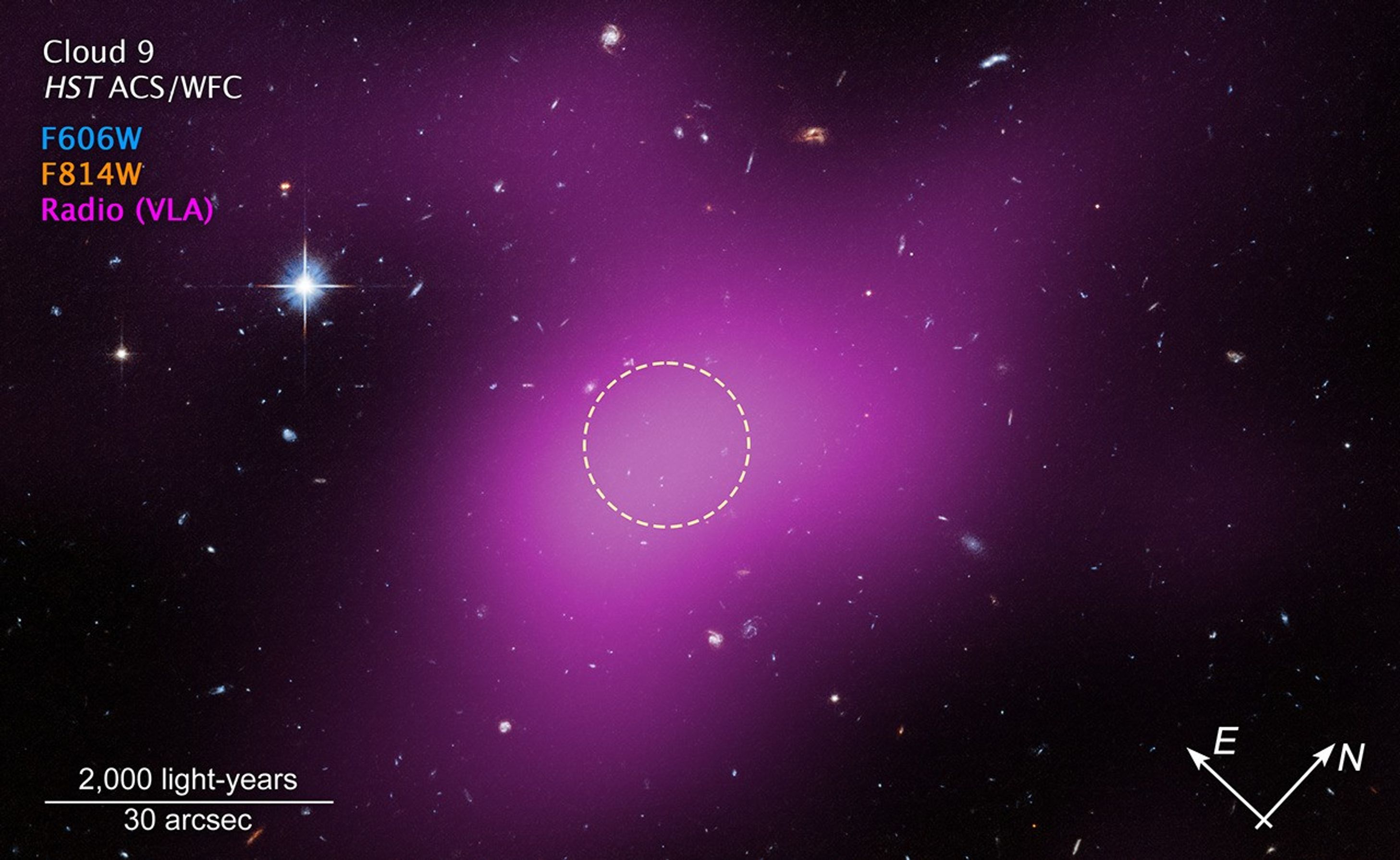 An image labeled u201cCloud 9 HST ACS WFCu201d. Below that, a color key shows F606W in blue, F814W in orange, and Radio VLA in purple. A region of space mostly filled with background galaxies, with one prominent star at upper left. A large blob of purple haze occupies much of the field. Within the purple region, an unremarkable area is outlined with a dashed white circle. At lower left, a scale bar extending about one-sixth of the image is labeled 2,000 light-years and 30 arcseconds. At lower right are compass arrows with east pointing to 10 ou2019clock and north pointing to 2 ou2019clock.