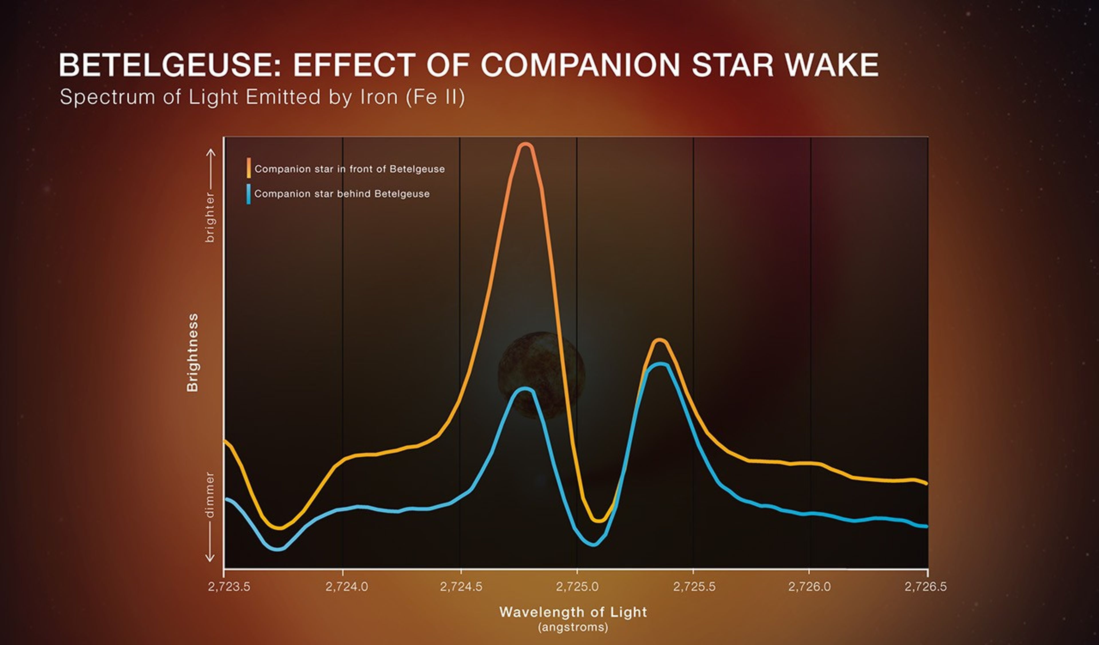 A graphic titled “Betelgeuse: Effect of Companion Star Wake” with a subtitle “Spectrum of Light Emitted by Iron (Fe II).” A graph plots brightness versus wavelength of light. The Y axis is labeled Brightness with an up arrow labeled brighter and a down arrow labeled dimmer. The X axis is labeled Wavelength of Light, angstroms with tick marks every 0.5 angstroms from 2723.5 at left to 2726.5 at right. 

The plot shows two wavy lines, an orange one on top and a blue one below it. The graph shows two distinct peaks. At left, or shorter wavelengths, the orange peak is much higher than the blue one. At right, or longer wavelengths, the two peaks are nearly the same height. A key shows that the orange line represents the companion star in front of Betelgeuse, while the blue line represents the companion star behind Betelgeuse.