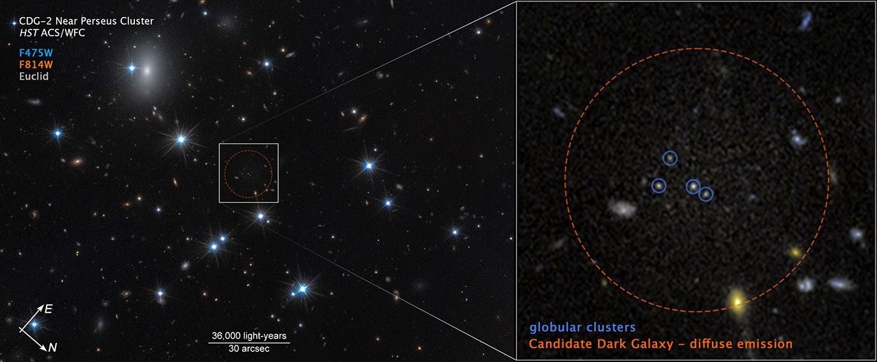 Dark Galaxy Near Perseus Cluster (Compass Image)