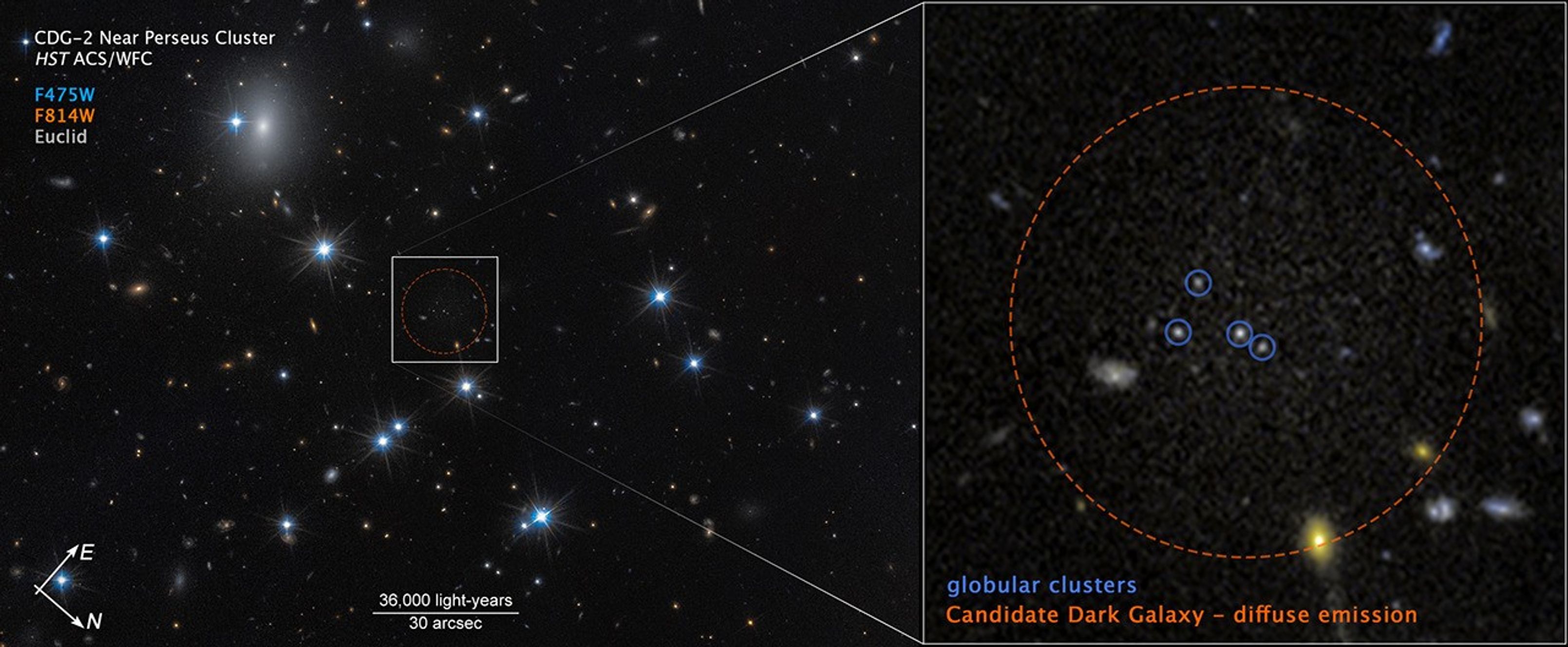 Image labeled u201cCDG 2 near Perseus Cluster, HST ACS WFCu201d. At left is a field of space with an area outlined. At right is a blowup of the outlined area with four globular clusters circled.