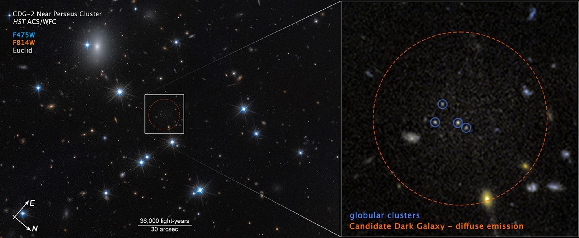 Image labeled “CDG 2 near Perseus Cluster, HST ACS WFC”. At left, a field of space with a dozen white foreground stars and a number of small, yellow background galaxies. An unremarkable area at center is outlined with a dashed red circle surrounded by a white box. Lines extend from the box to a pullout at right containing faint, grainy white light surrounded by a red circle labeled “Candidate dark galaxy – diffuse emission.” Four white dots are circled in blue and labeled globular clusters. Compass arrows at lower left show east pointing to 1 o’clock and north pointing to 4 o’clock. A scale bar is labeled 36,000 light-years and 30 arcseconds. It extends about one-eighth of the way across the image. A color key shows F475W in blue, F814W in orange, and Euclid in gray.