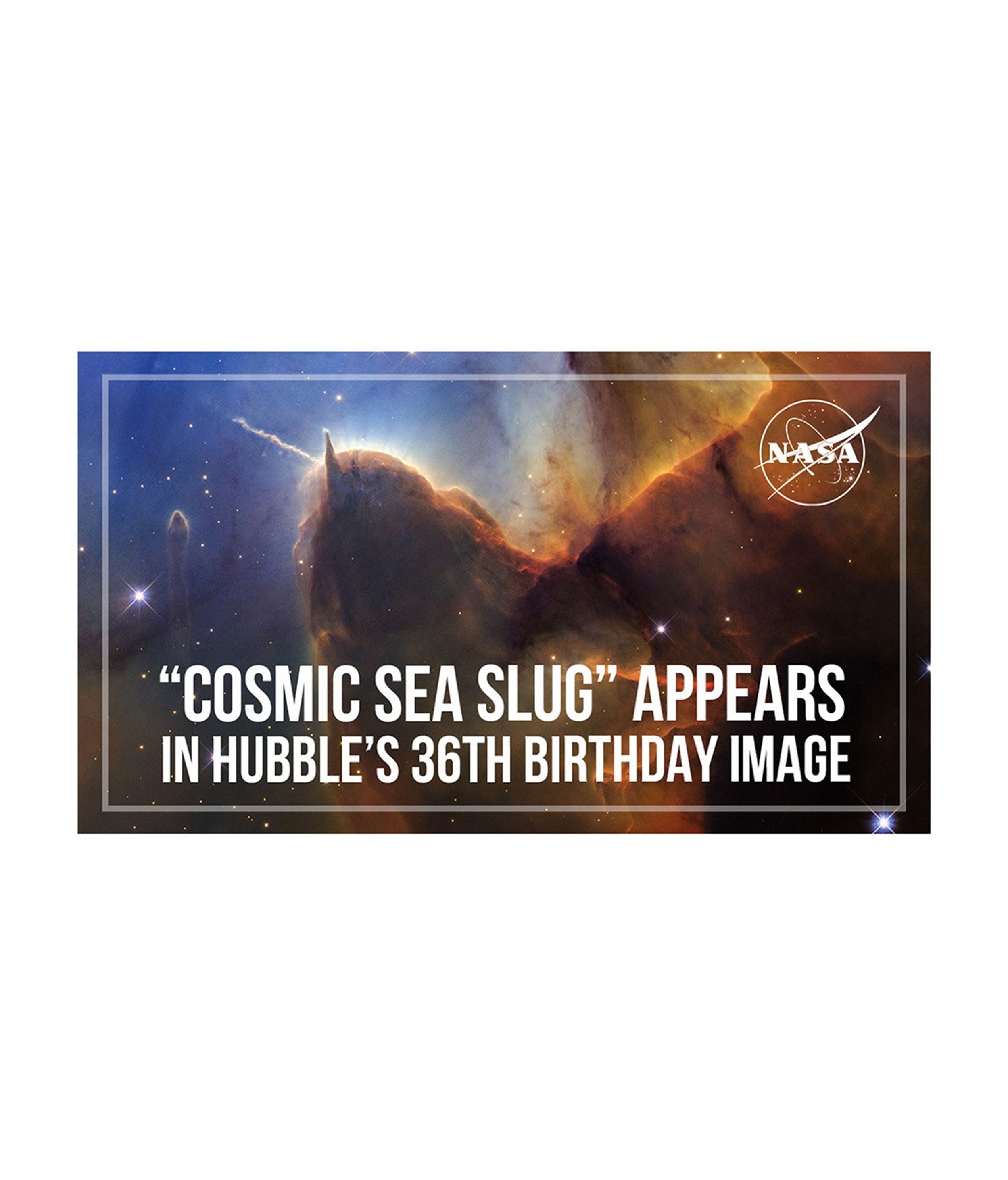 A tightly cropped Hubble view of a vast star-forming region known as the Trifid Nebula. The top left is bright blue. Brown and amber colors run from top right through the center in irregular, overlapping lines to the bottom-center. At bottom right, the view is almost black. Tiny, amber-colored stars appear throughout the scene. Toward the left there is a prominent brown shape that looks like a head with two horns. The left horn points left and is wavy. The right horn is triangular and points up. The brown dust continues, flowing down, as if along a back, and up toward the top right. A prominent line, about the same length as the left horn, appears below the middle of the body, and changes from orange to red. A small, separate semi-transparent pillar is left of the head. A few slightly larger, blue foreground stars with four diffraction spikes appear throughout. NASA Logo in white lettering in the upper-right corner. The title "'Cosmic Sea Slug' Appears in Hubble's 36th Birthday Image" appears along the bottom.