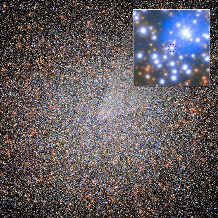 A Hubble image of globular star cluster Omega Centauri, which looks like a dense field of stars. Some stars appear a bit larger and brighter than others; most appear blue, orange, or yellow. The colors appear uniformly distributed, like grains of sand. Stars toward the cluster’s center are packed closer together, creating a more luminous area at the globular cluster’s core. A small red square frame is superimposed on the cluster near the image’s center. It connects to a square pullout in the top-right corner, which shows the outlined area in greater detail. Among the blue- and orange-colored stars is small blue-white dot highlighted by a small red circle.