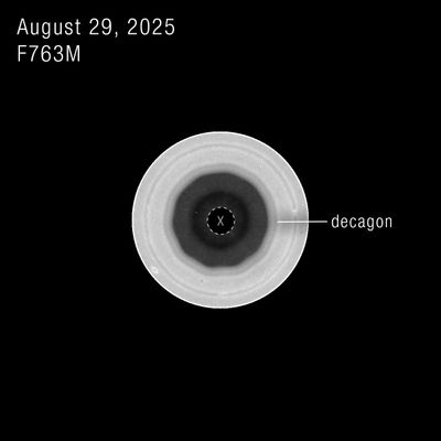 Decagon on Saturn’s South Pole (Single Filter)