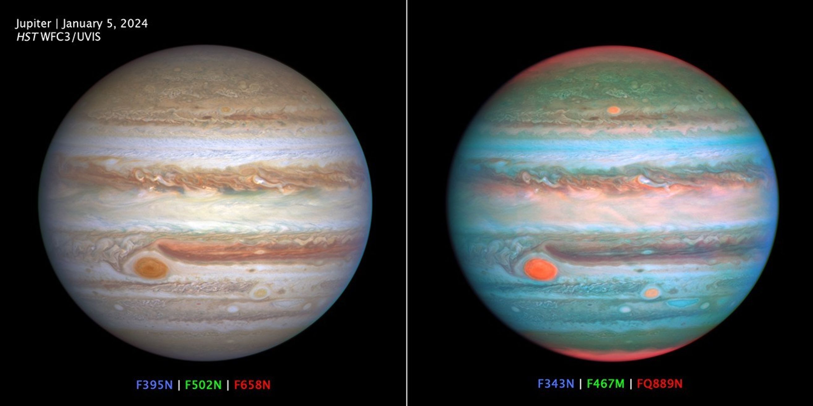A two-panel image labeled Jupiter, January 5, 2024, HST WFC3/UVIS; showcases the wealth of information provided by the spectral filters on the Hubble's Wide Field Camera 3 (WFC3) science instrument. At left, the Hubble image of Jupiter is created using three filters at wavelengths similar to the colors seen by the human eye: F395N is blue, F502N is green, F658N is red. At right, the wavelength bounds are widened beyond the visible range to extend just into the ultraviolet (UV) and infrared regimes: F343N is blue, F467M is green, FQ889N is red. Humans can't perceive these extended wavelengths. The result is a vivid disk that shows UV-absorbing lofty hazes as orange (over the poles and in three large storms, including the Great Red Spot), and freshly-formed ice as white (compact storm plumes just north of the equator). These filters (and others not shown here) allow astronomers to study differences in cloud thickness, altitude, and chemical makeup.