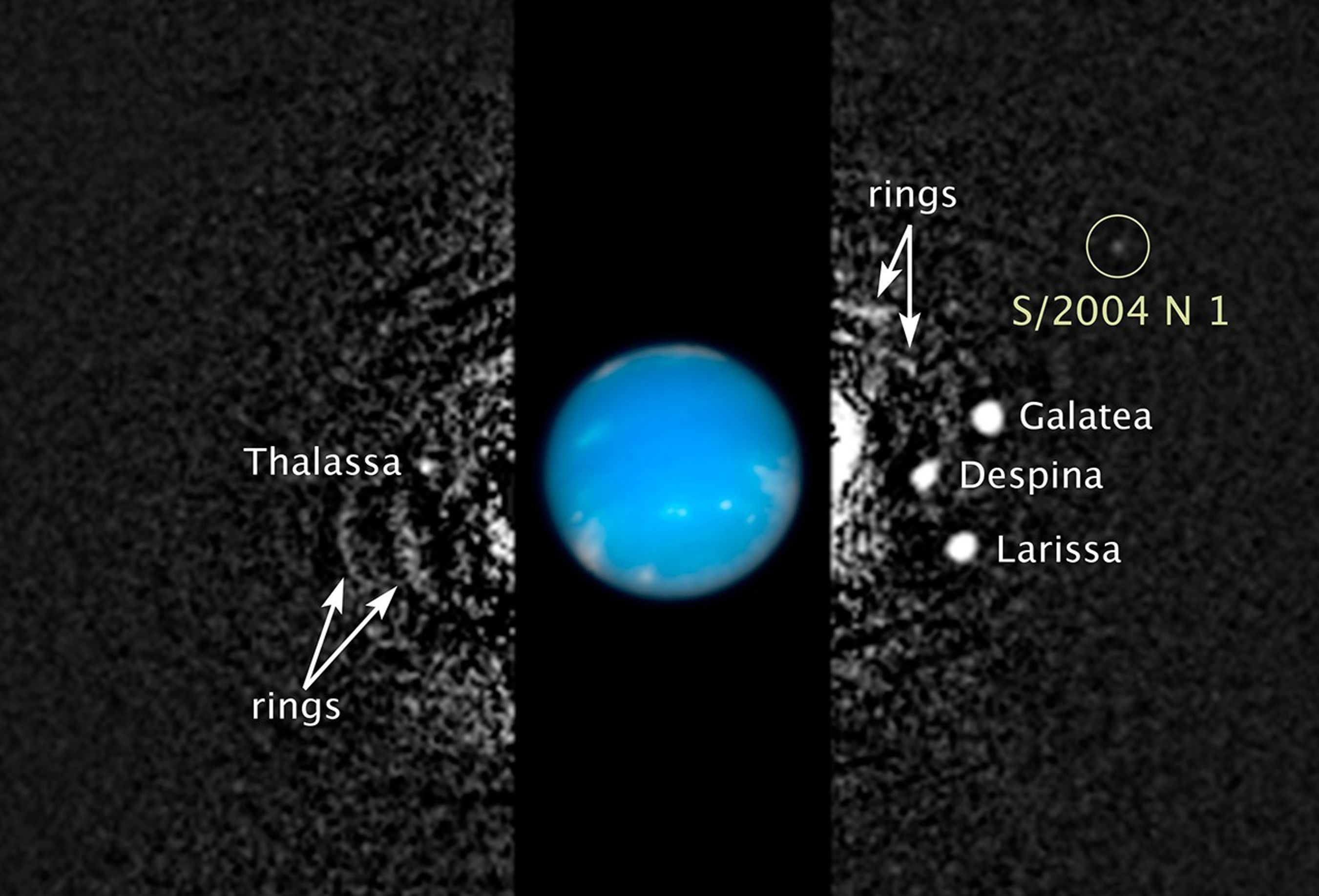 An image showing Hubble data that found new moons around Neptune.  Blue, cloud-covered Neptune is at image center. Black and White data of the moons and Neptune's rings are to either side of the planet.