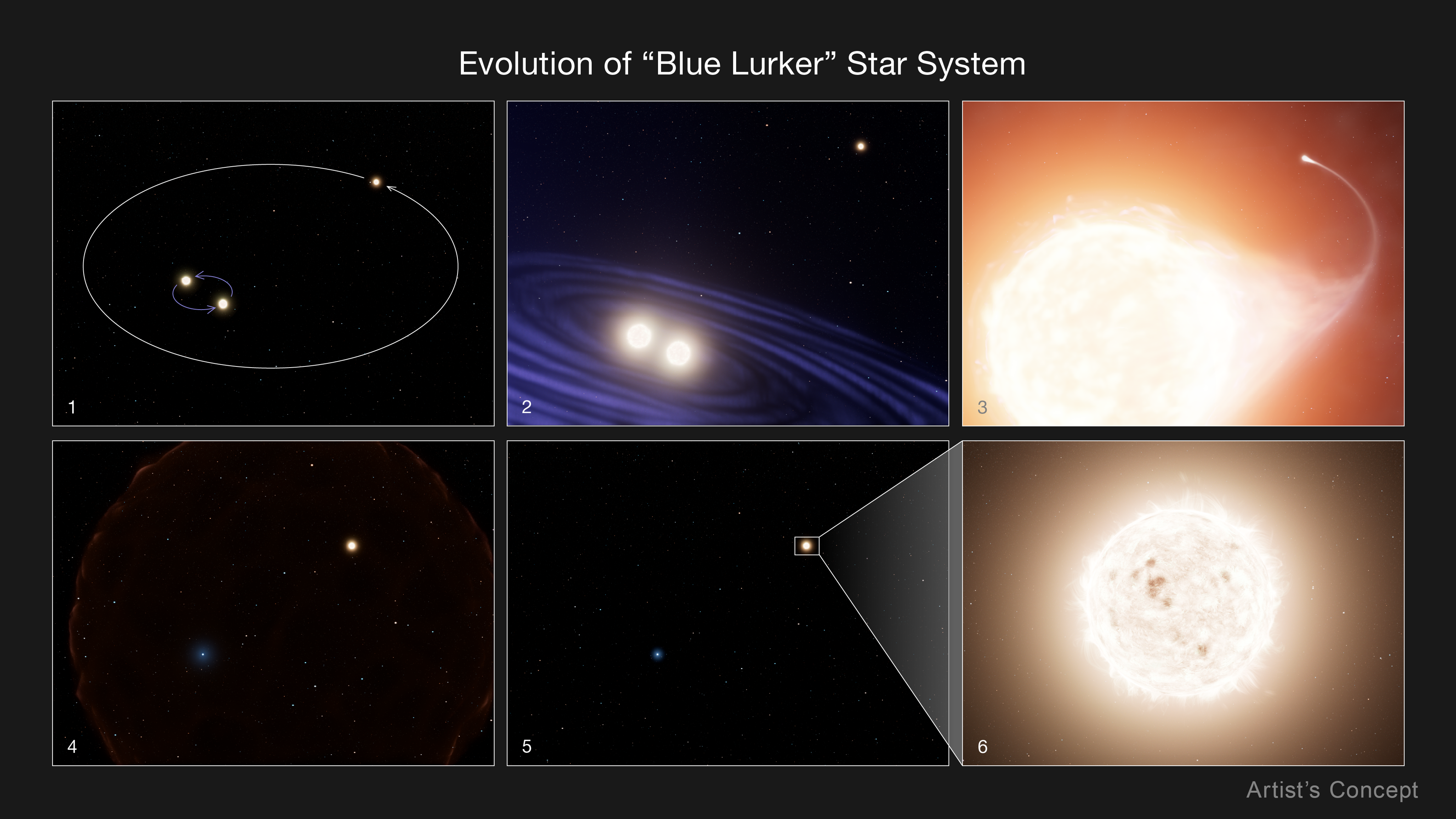 Ilustración titulada “Evolución del sistema estelar 'Blue Lurker'”. Presenta seis cuadros, en dos filas de tres. La parte superior izquierda muestra una gran trayectoria circular de una estrella que rodea una pequeña trayectoria circular de dos estrellas giratorias. El cuadro superior del medio muestra dos estrellas que giran una alrededor de la otra, mostradas con rayas azules, y una tercera estrella está a la distancia. El cuadro superior derecho muestra una gran estrella naranja ardiente con una línea de alimentación a otra estrella distante. El cuadro inferior izquierdo muestra una pequeña estrella amarilla sobre un fondo negro rodeada por un tenue anillo rojo de gas. El cuadro inferior del medio muestra la estrella amarilla con un cuadro blanco a su alrededor. Las líneas conducen desde este pequeño cuadro al panel inferior derecho, que muestra una gran estrella amarilla ardiente. Las palabras “Concepto del artista” están en la parte inferior derecha.