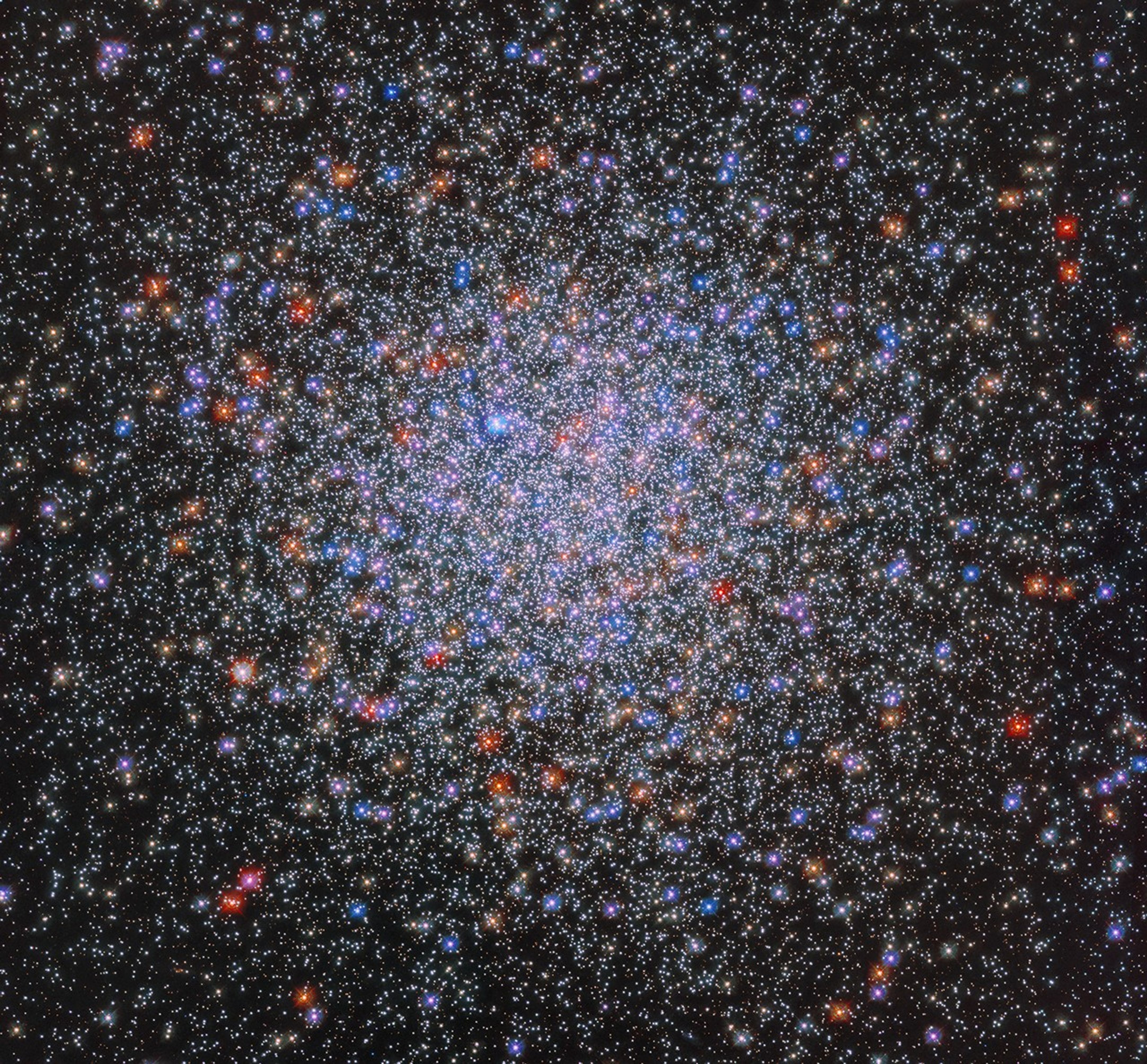 A dense ball of stars sits at the center of the image, becoming less dense as you move away from the center. They are mostly bright-white stars, but red, yellow, blue, and orange stars are also dotted throughout the cluster.