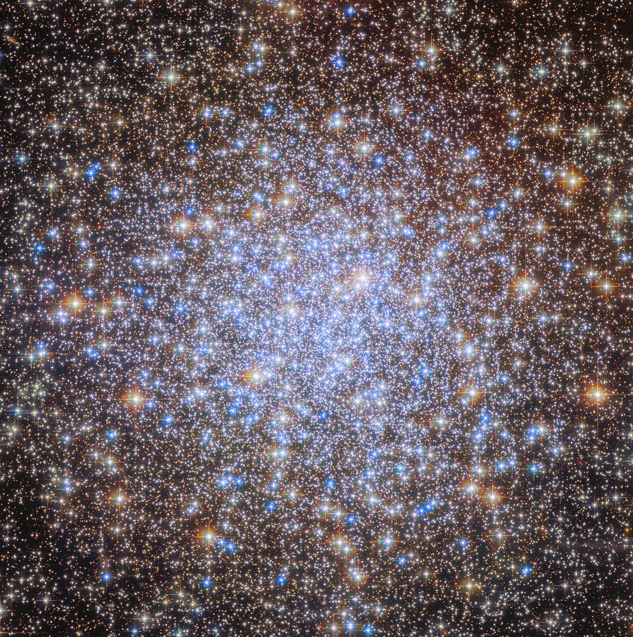 A globular cluster. It holds many thousands of bright stars, tightly packed in the center and spread out in its outer regions, but filling the entire view. The stars are colored either orange or bright blue, with the blue stars mainly concentrated in the center. Orange stars are located mainly around the edge and vary in size from small dots to glowing stars with four points, based on their position in the foreground or background of the cluster.