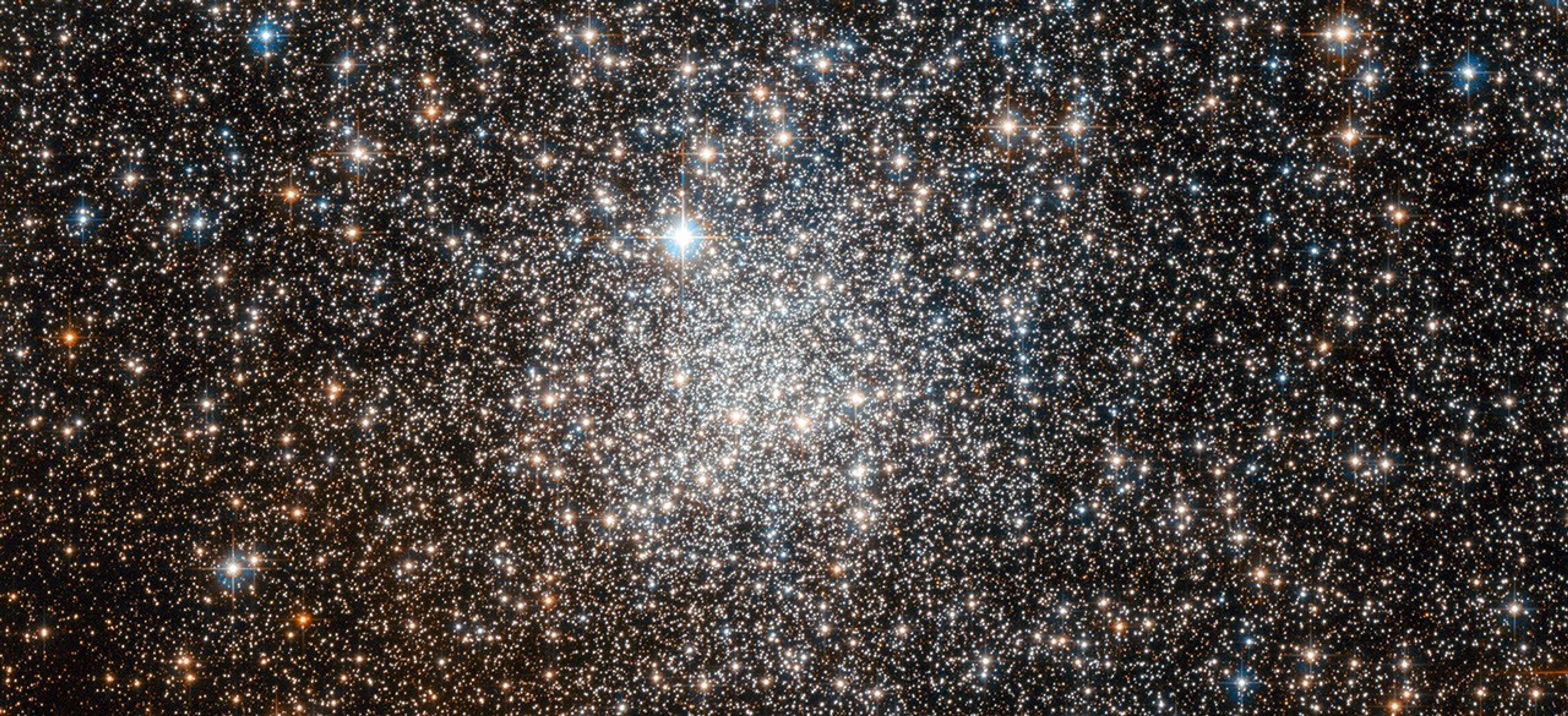 A cluster of white, blue-white, and orange stars, more densely concentrated at the center.