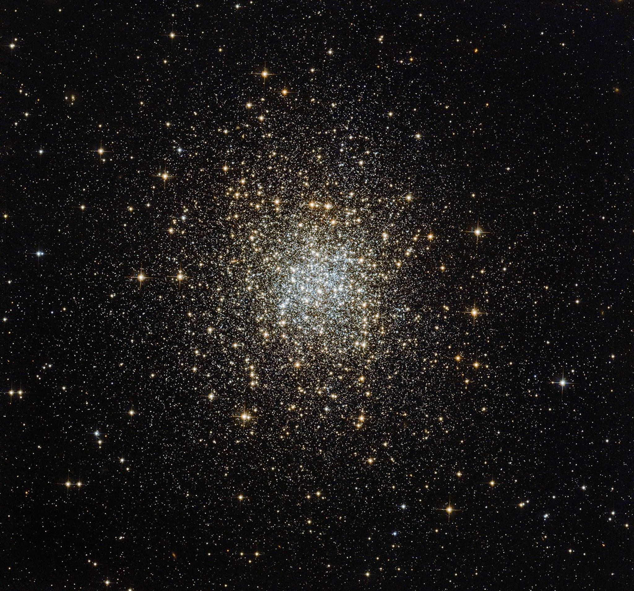 White and yellow-orange stars packed tightly near the center in a sphere-shape, and thinning out farther from the center.