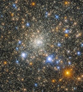 White, gold, red-orange, and blue stars fill the the image