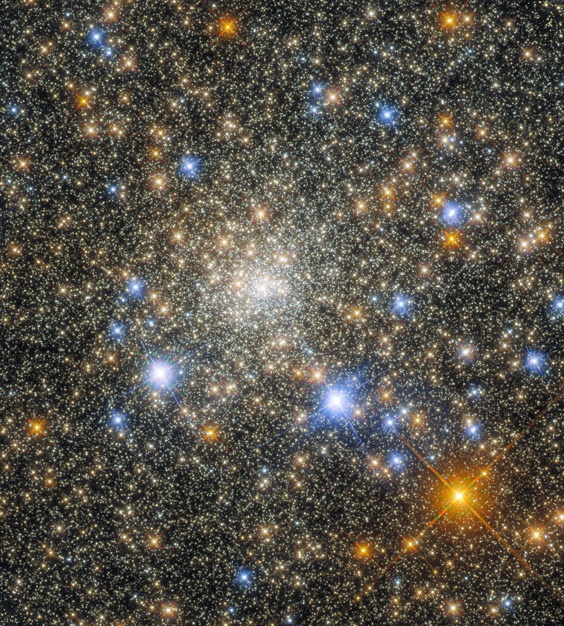 White, gold, red-orange, and blue stars fill the the image