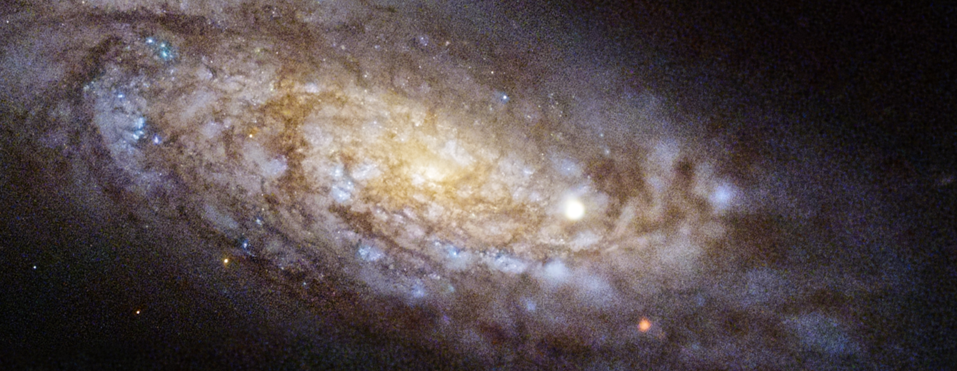 SN 2020fqv in galaxy NGC 4568