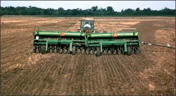 A farmer tending his field.