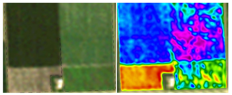 Landsat image of sugar beet fields