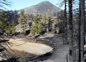 fire boundary, Red Lassic