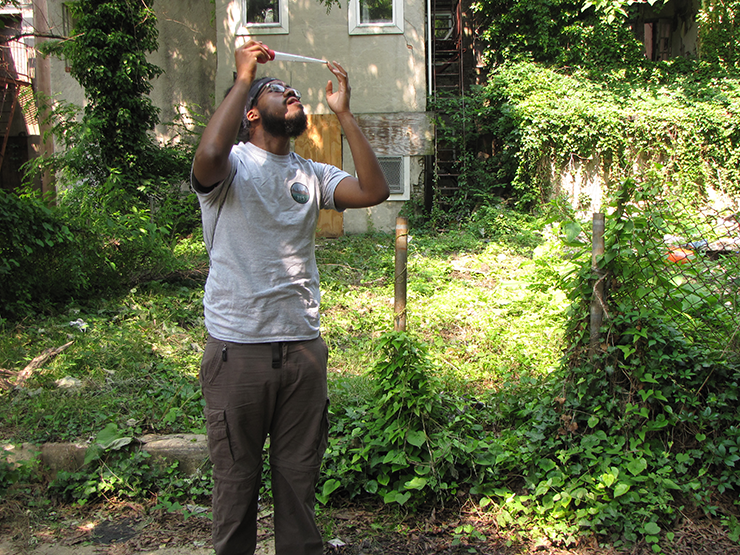 surveying for larval mosquitos