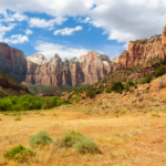 Mojave National Preserve
