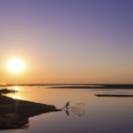 Brahmaputra River at sunset