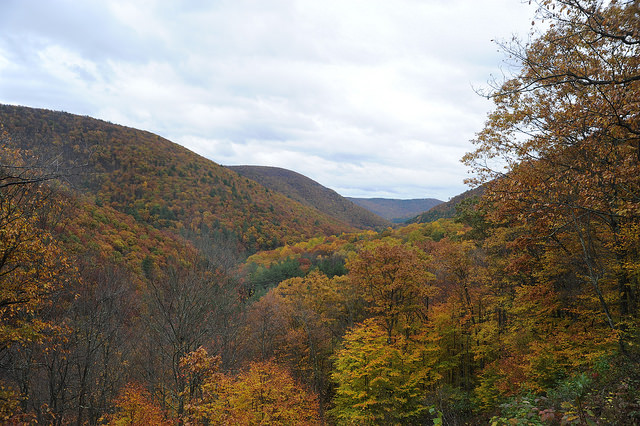 
			Monitoring Forest Health Amid Oil and Gas Extraction - NASA Science			